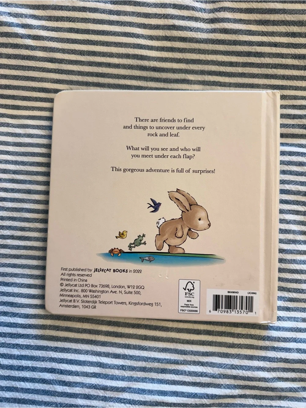 3 board book bundle